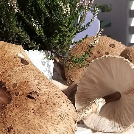 Przystań na Zagórzu - Apartamenty nad jeziorem Drezdenko Exterior foto